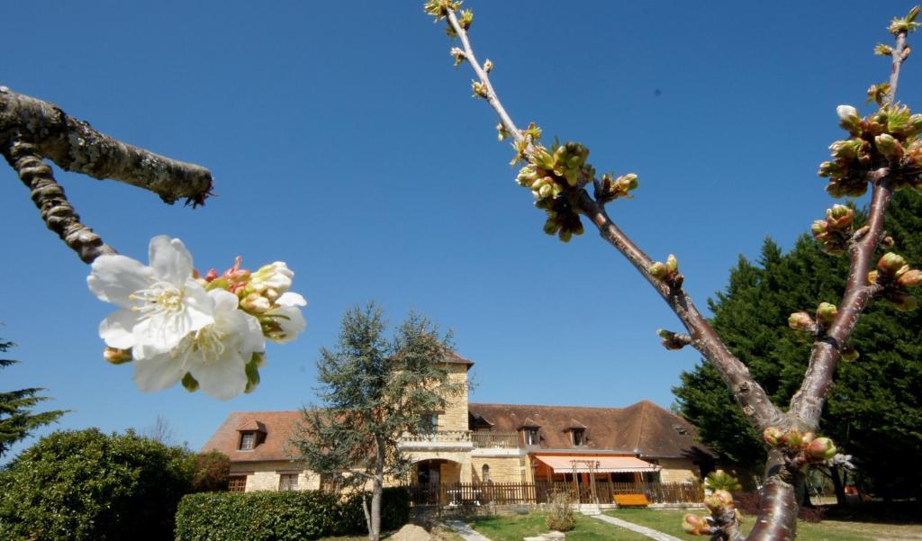 Hotel-Restaurant Les Collines Cublac Dış mekan fotoğraf